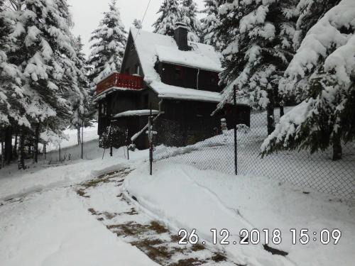 Hermannsdorf Apartment | Waldhaus, Ski- und Wanderhütte