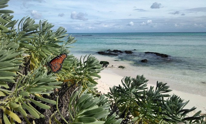 Villa Juarez Condo | Walking distance to one of the best beaches on the Riviera