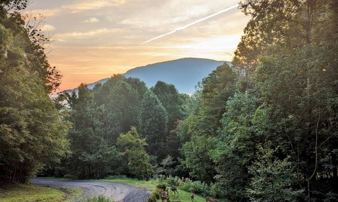 West Jefferson House | Walking distance to downtown/beautiful mountain views.