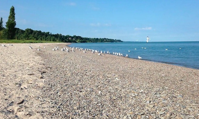 Ashtabula House | Walnut Beach Inn