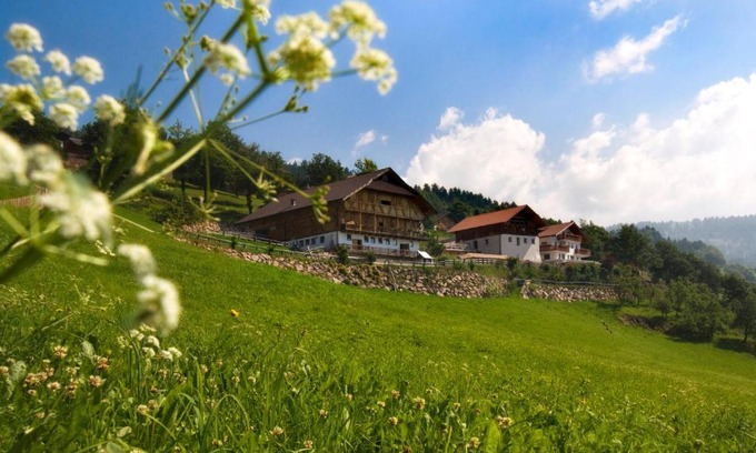 Molten Apartment | Wargerhof - Urlaub auf dem Bauernhof