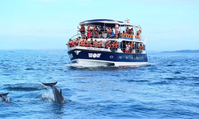 Mirissa Boat Rental | Watch The Real Whale Paradise On Earth