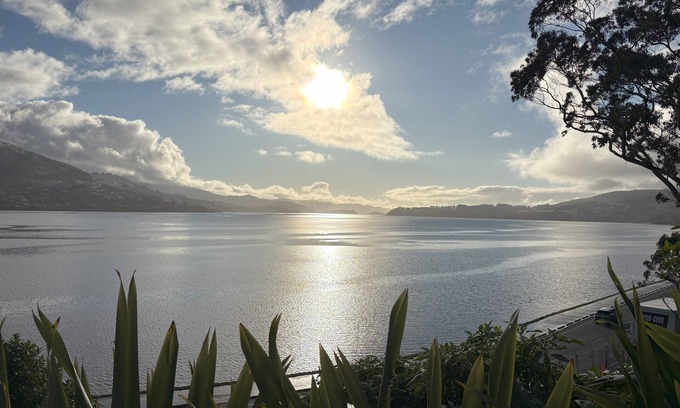 Dunedin Apartment | Waterfront 2-bedroom apartment with AC in Dunedin