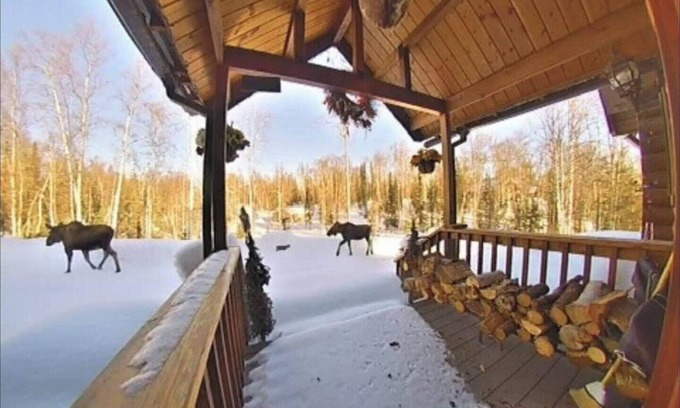 Talkeetna Cabin | Waterfront Cabin Bungalow Private & Tranquil 13 miles from downtown Talkeetna
