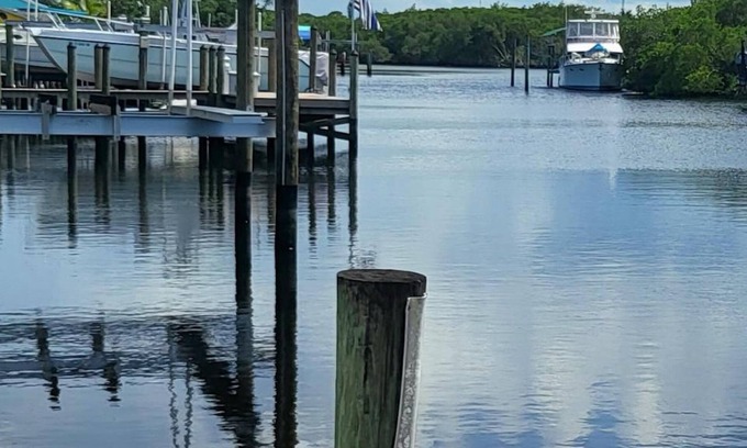 Palm City House | Waterfront heated pool home,dock,close beaches,world class sail fishing & golf!!