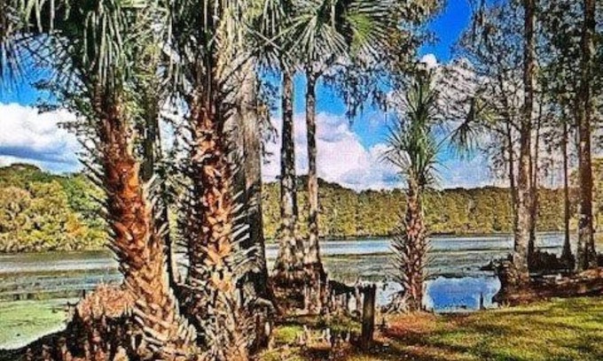 Lake Panasoffkee House | Waterfront house on Withlachoochee River, deck, pool, absolutely beautiful view!
