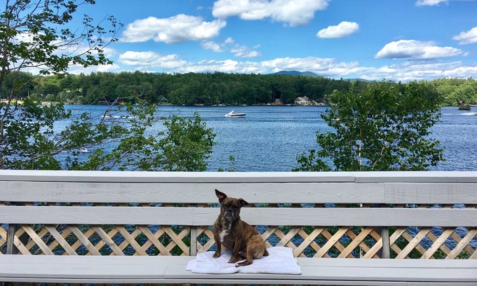 Moultonborough House | Waterfront House on Winnipesaukee w Private Dock , Sleeps 11 & Dogs Welcome!