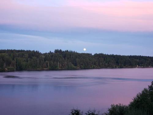 Shelton House | Waterfront Retreat with a sauna Pets OK