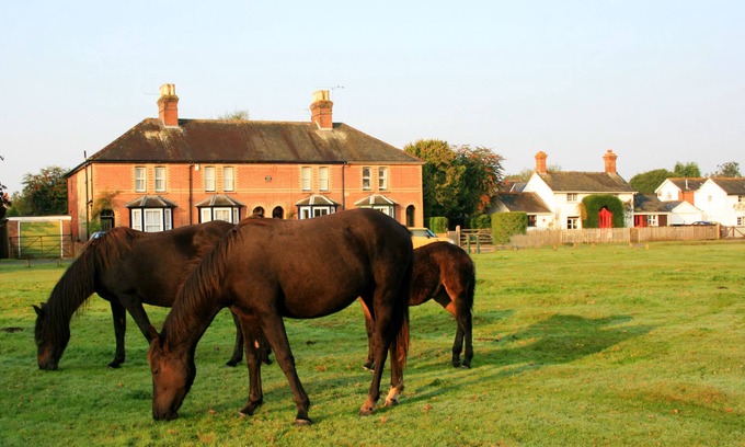 New Forest District Cottage | Waterley, Brockenhurst