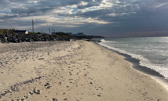 Culloden Shores House | We love well behaved dogs. Walk to everything from this well equipped compound.