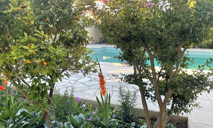 Montaren-et-Saint-Mediers Apartment | Weekly rental of tourist accommodation *, air conditioning, swimming pool, private parking