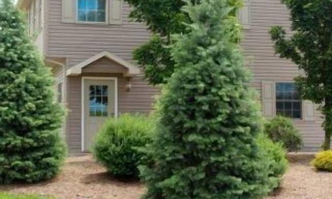Mansfield House | Weekly discounts available!