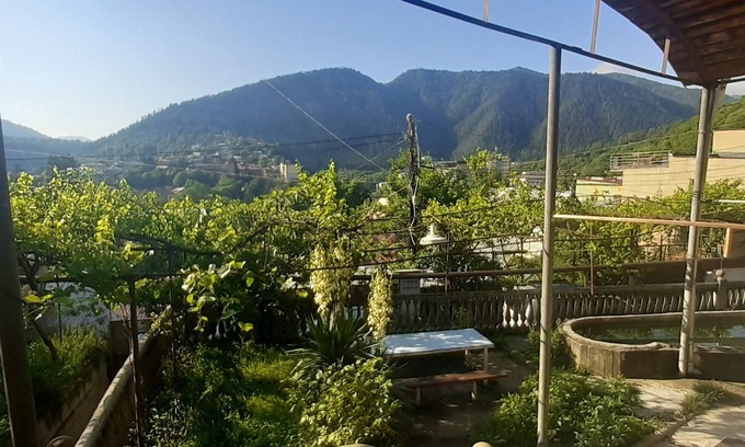 Borjomi House | Welcome to Shota's GuestHouse in Georgia,Borjomi