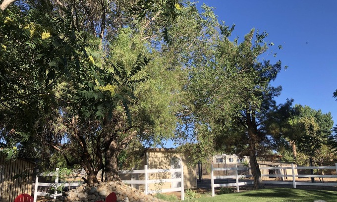 Palmdale House | Westside V.I.P. Country Living Close to Mall - Downtown Big Yard Sparkling Clean