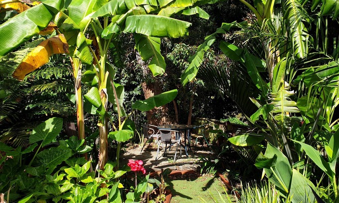 Whanganui Bed & Breakfast | Whanganui Haven, Complimentary Dinner, On-site Welcome, Luxury, Amazing Garden