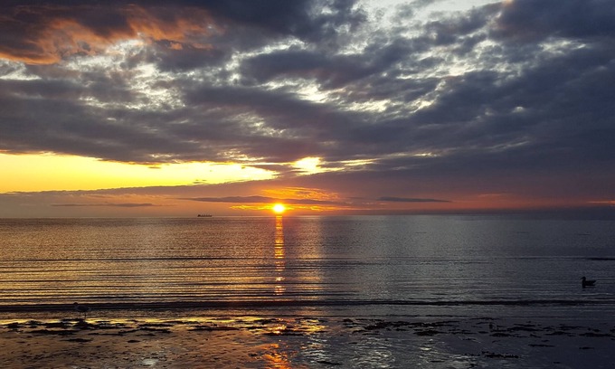 Metchosin House | White Sandy Beach! Free use of Paddle Boards, Kayaks and Bikes!