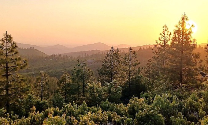 Groveland Cabin | Wilderness Retreat