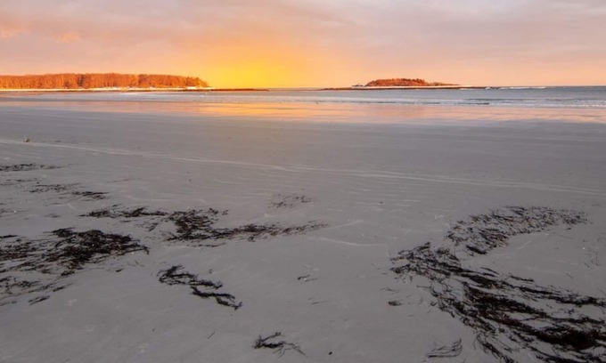 Kennebunkport House | Wildwood, large cape-style home in the heart of Goose Rocks