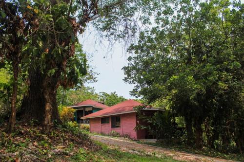 Palenque Cabin | Winíka Alterra