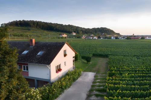 Oberrotweil Apartment | Winzerhof Henkenberg