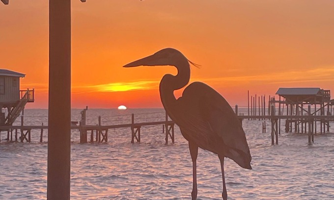 Alabama Gulf Coast House | Write on the Bay