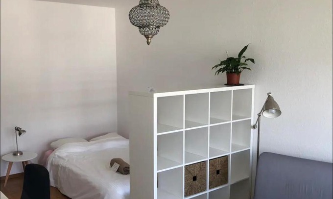 Plainpalais Apartment | wrong annonce