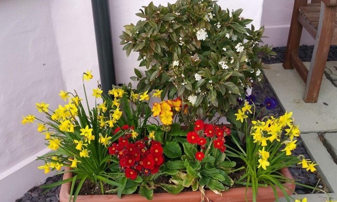 Dinas Cross Bed & Breakfast | Y Garth B&B