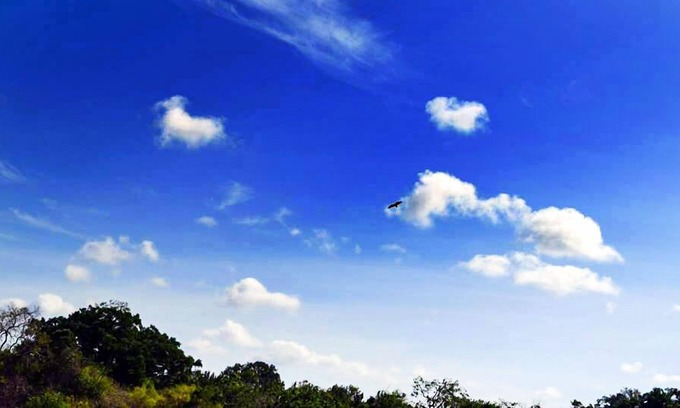 Katagamuwa Other | Yala wild corridor camp