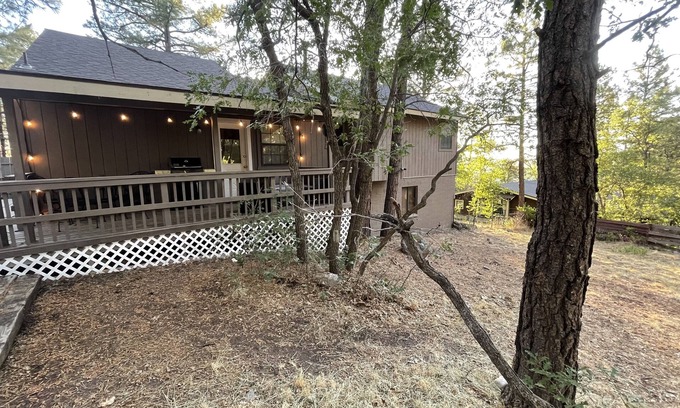 Williams House | Your home away from home.