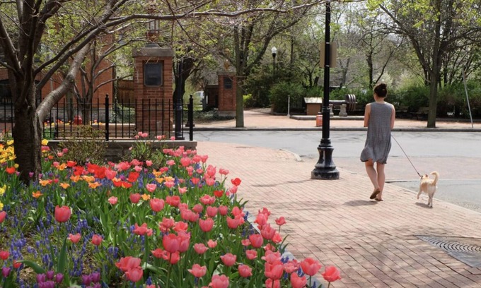 Downtown Syracuse Apartment | Your Ideal Urban Oasis in the Heart of Syracuse
