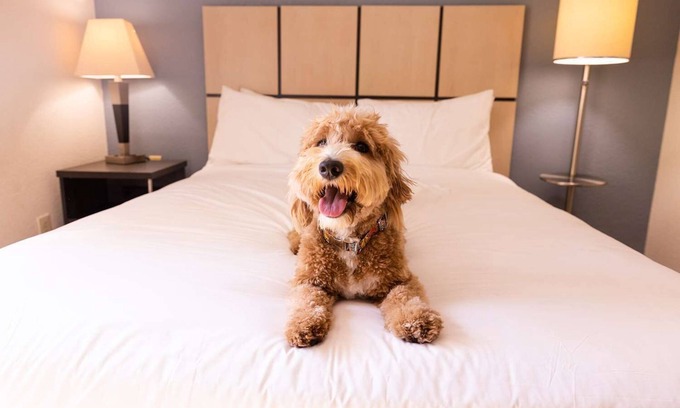 Brentwood Hotel | Your Nashville Escape – 3 Rooms with Full Kitchen, Near Local Hotspots & Trails