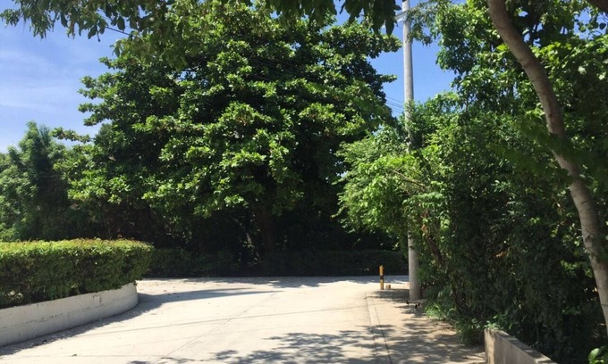 Historic Center Apartment | Yuly's apartment 1006, 5 minutes from the beach, and Simón Bolívar Airport