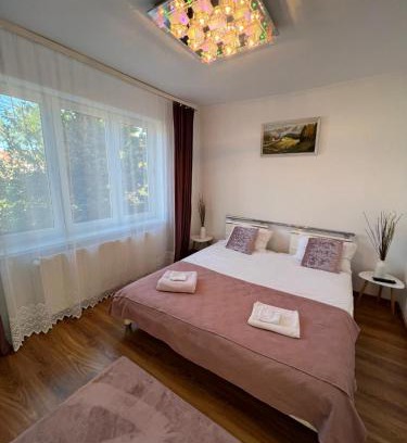 Satu Mare Apartment | Zen Apartment 1