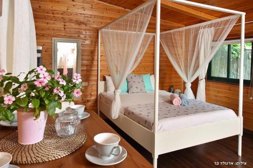 Livnim Cabin | Zimergia