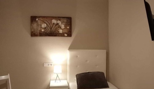 Basic Single Room