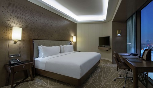 Room, 1 King Bed