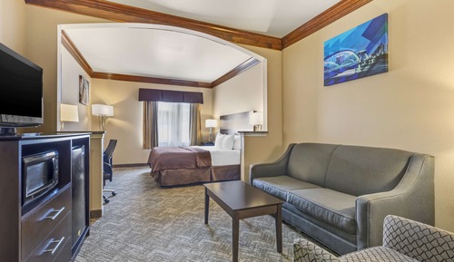 Suite, 1 King Bed, Non Smoking, Refrigerator & Microwave (with Single Sofabed)