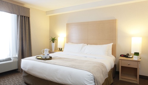 King Suite with Sofa Bed