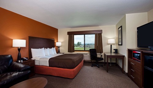 Deluxe Room, 1 King Bed, Non Smoking