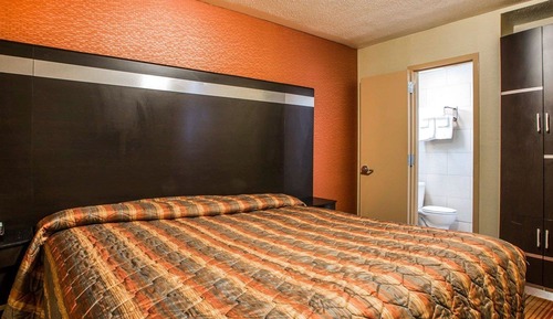 Standard Room, 1 King Bed, Non Smoking