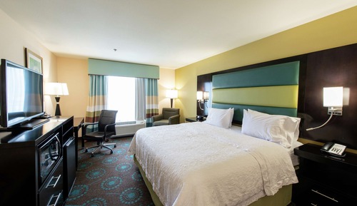 Room, 1 King Bed, Non Smoking, Refrigerator & Microwave