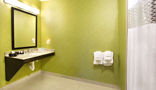 Studio, 1 King Bed, Accessible, Bathtub (Mobility & Hearing)