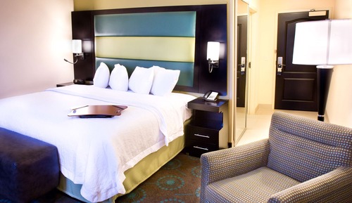 Room, 1 King Bed, Non Smoking, Refrigerator & Microwave
