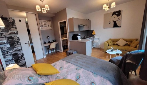 Deluxe Apartment