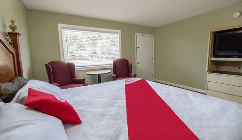 Room, 1 King Bed