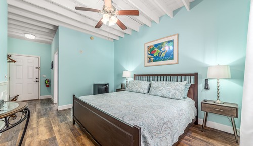 Room 2, 1King bed, Accessible