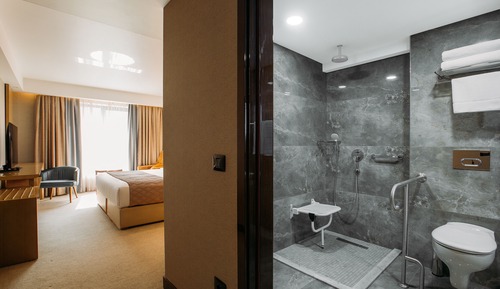 Standard Room, 1 King Bed, Accessible, City View