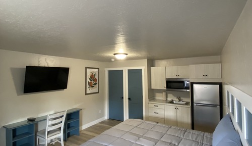 Luxury Studio Suite