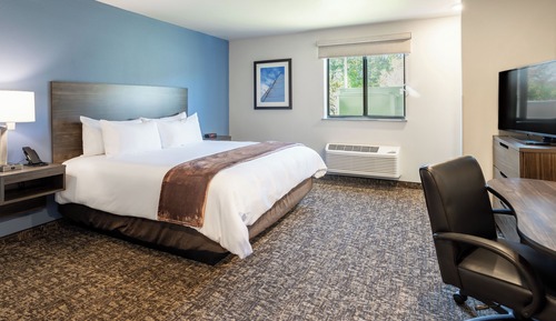 Room, 1 Queen Bed, Accessible (Hearing, Roll-in Shower)