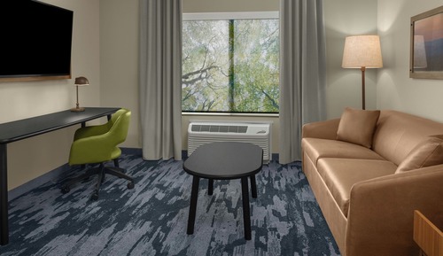 Executive Suite, 1 King Bed with Sofa bed, Non Smoking, City View (Mobility Accessible, Tub)